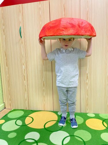 334772736_737632808016499_4901602320357760735_n