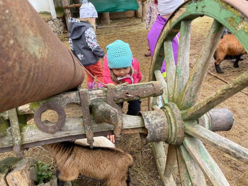 342887747_923716905568929_2663338483068103730_n