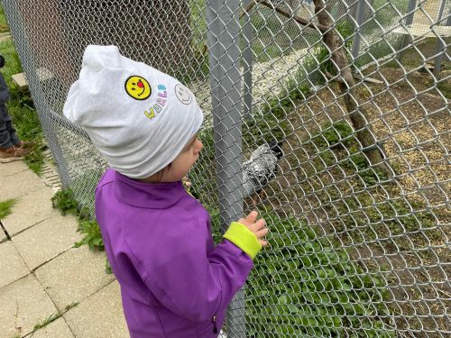 342722971_903984647385010_1437500490190571278_n