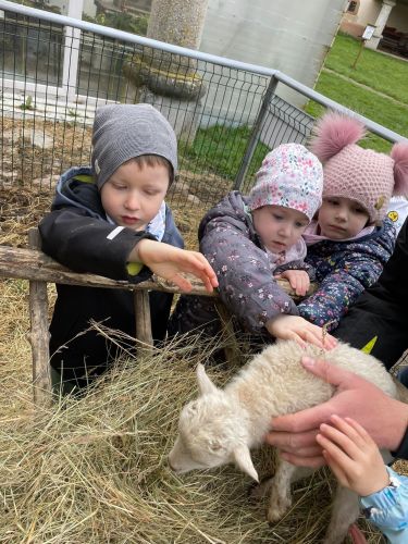 342717829_186808337525049_4993088401757636811_n