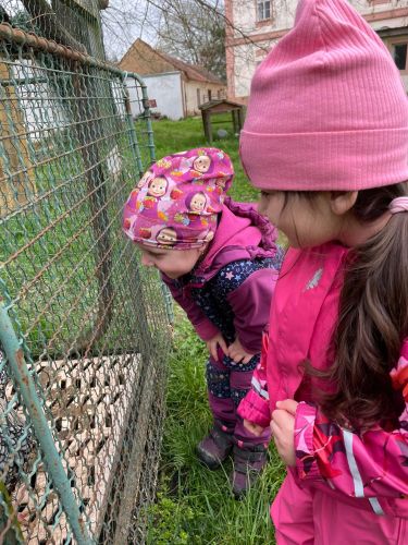 343449995_6285183734893117_5821351395383556254_n