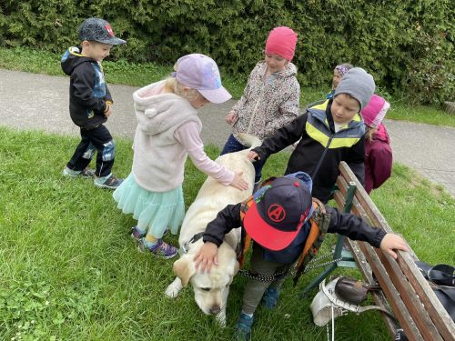 344493373_807914034088623_6736667922138609399_n