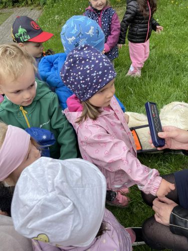 344491115_632038868432548_2785199448537471348_n