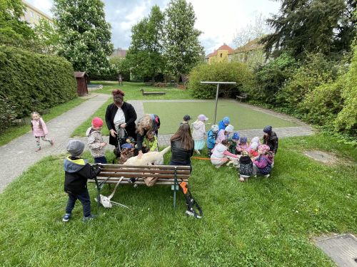 344422607_163203173383676_6341509045275915195_n