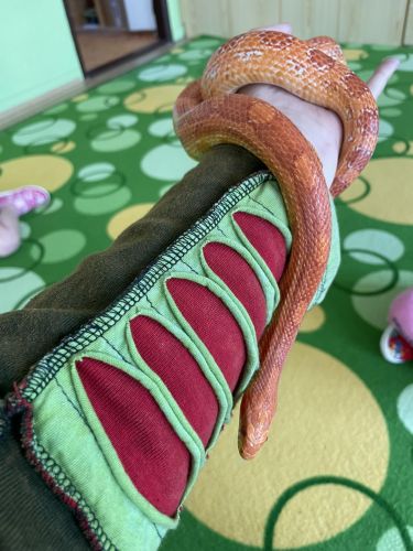 351628896_280332271227560_6107234145323164918_n