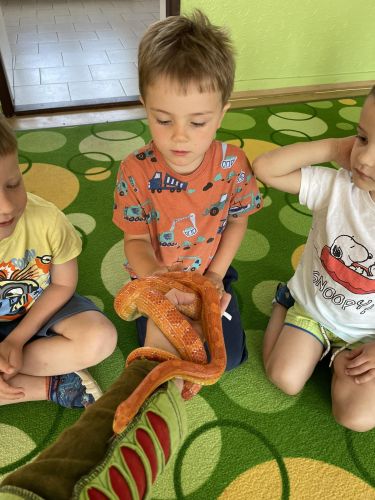 354533265_287684130379450_7561565990167455770_n