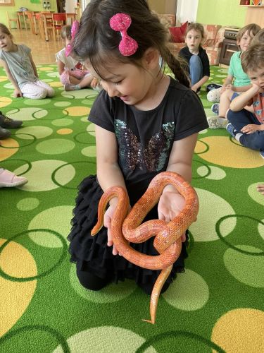 354261295_661652465783680_8432204420692054178_n