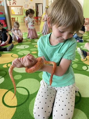 354166659_788356986205429_6477609287471539064_n