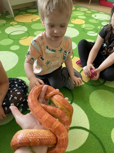 353804862_577847764468379_6716116605860483446_n