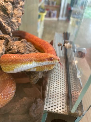 351634134_1931076547267901_3296126919829584518_n