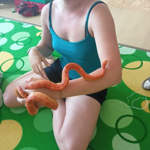 354522168_1561112027628762_6447306536355661577_n