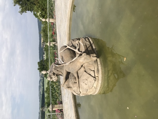 IMG_0265 (379x505)