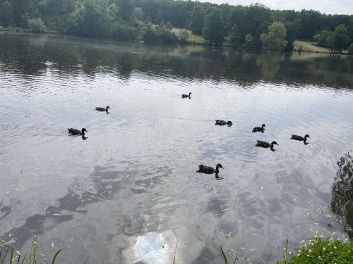 354774567_652367026745192_4104207519405846666_n